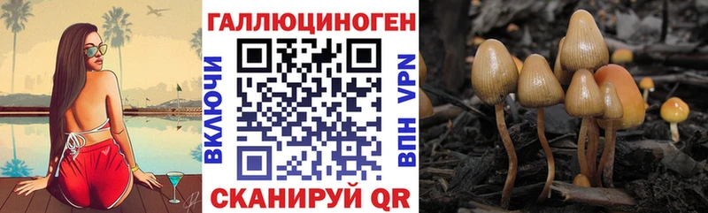 Псилоцибиновые грибы Psilocybe  Купить  Качканар 